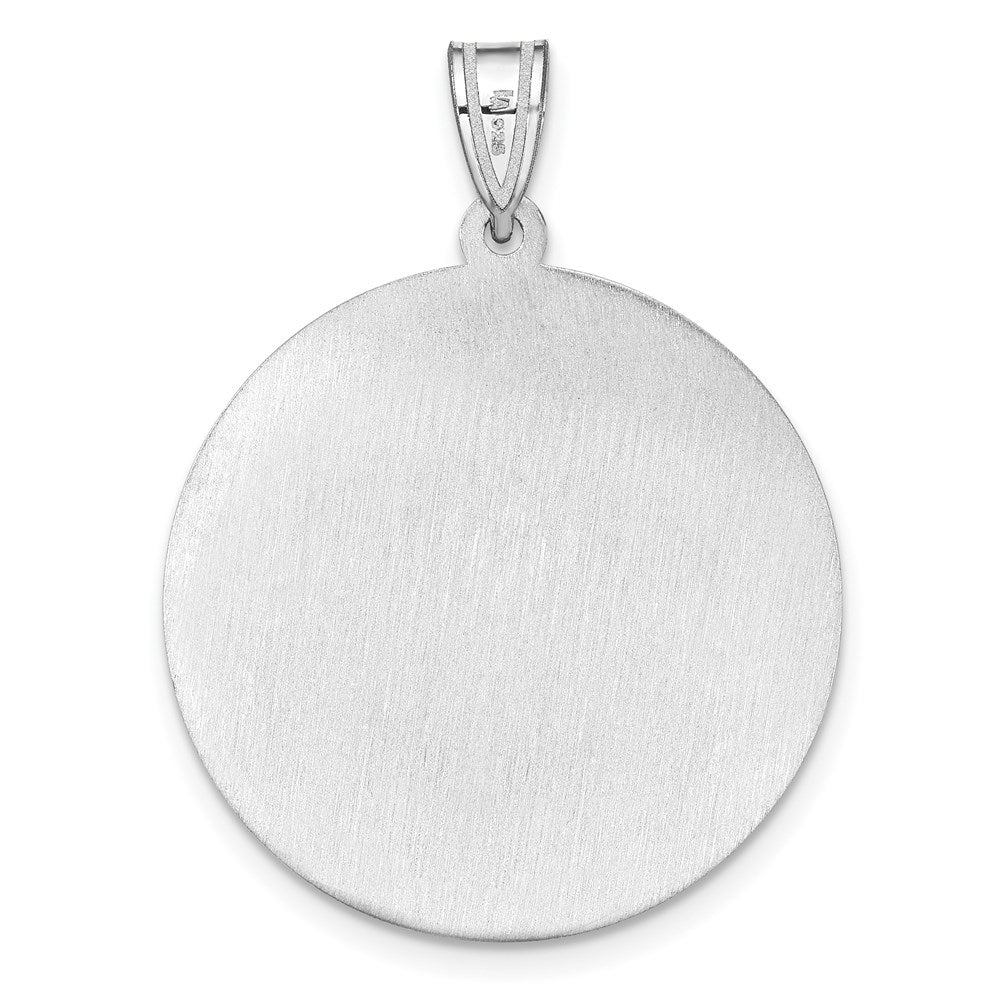 SS NHL LogoArt Anaheim Ducks Picture Jewelry Disc Pendant