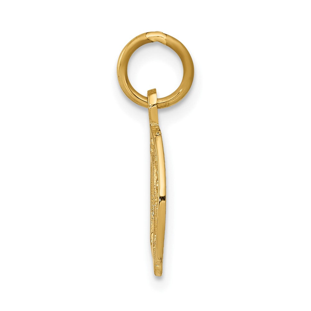 10k Horseshoe Charm Yellow Gold
