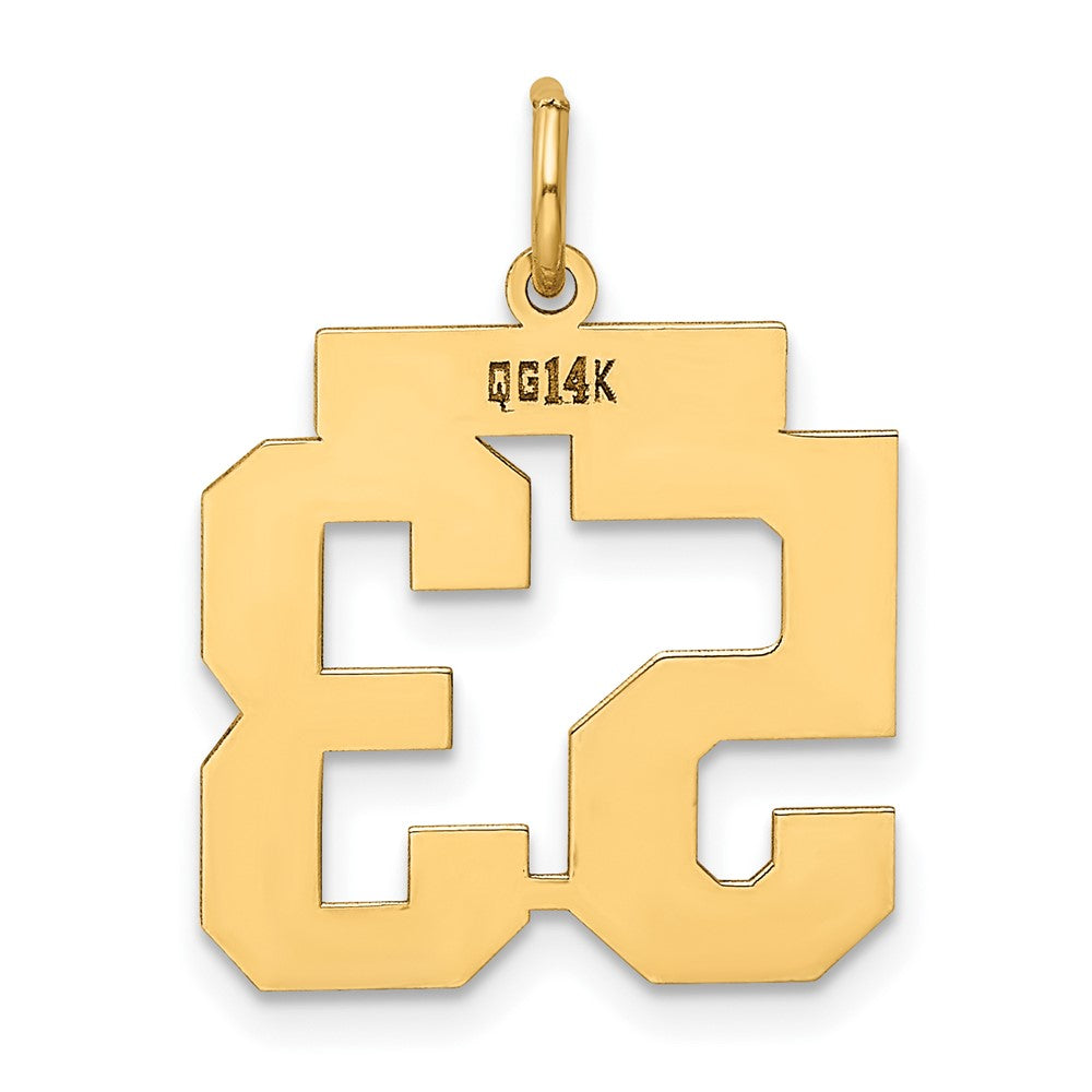 14k Medium Polished Number 53 Charm