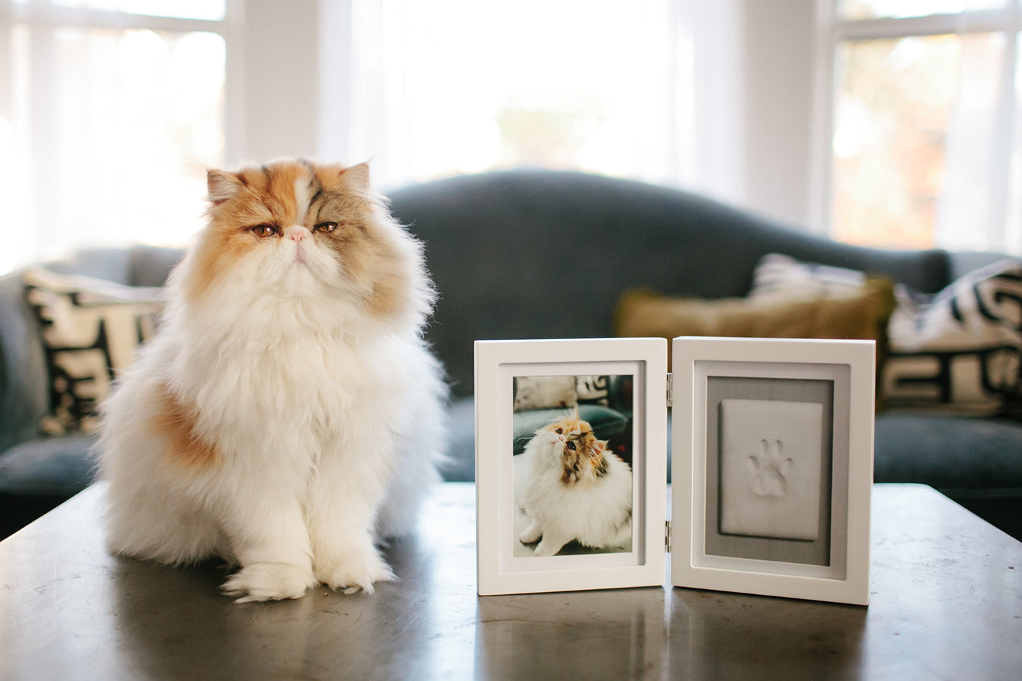 Pawprints Hinged White Wood 4x6 Photo Frame with Clay Tools and Instructions QGM20966