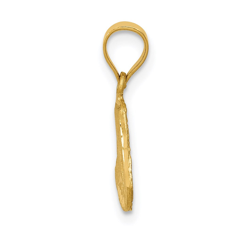 14K Satin D/C Mary Pendant