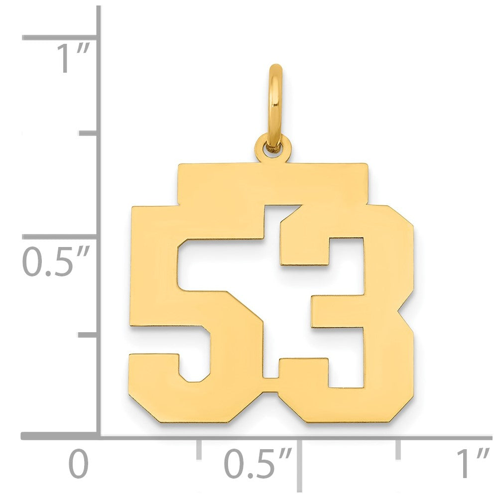 14k Medium Polished Number 53 Charm