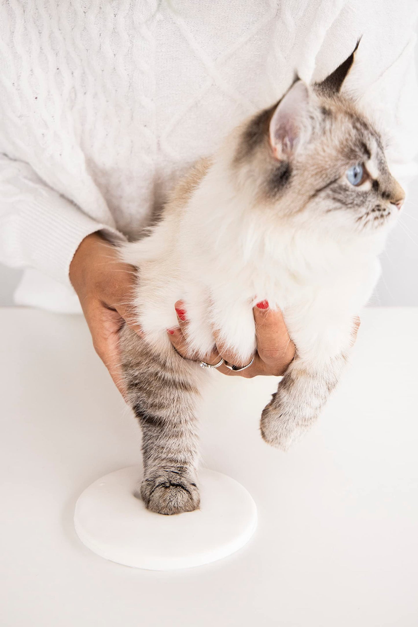Pearhead Pet Pawprint Keepsake Kit for Dogs or Cats, Includes Impression Material, 5”Wx5”H