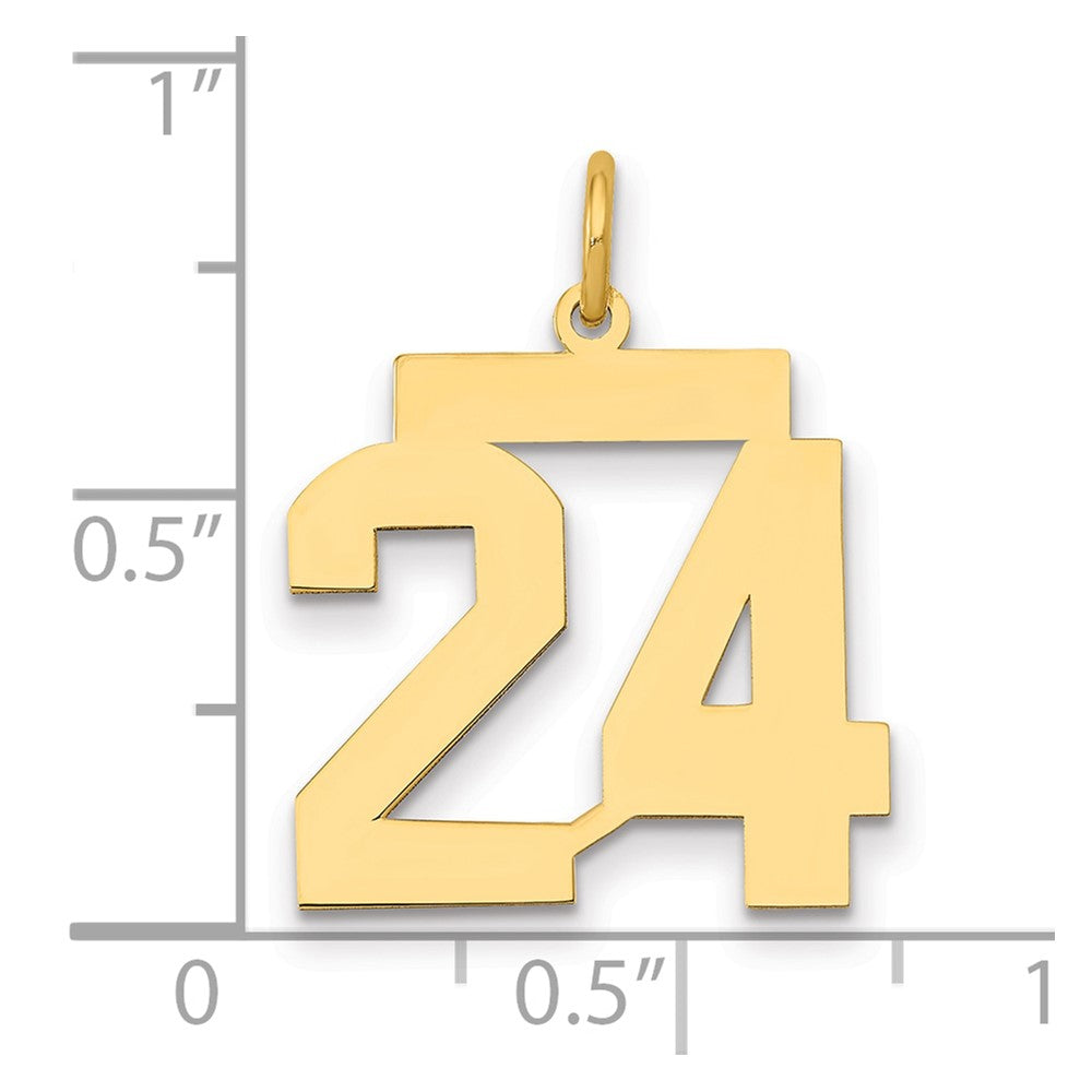 14k Medium Polished Number 24 Charm