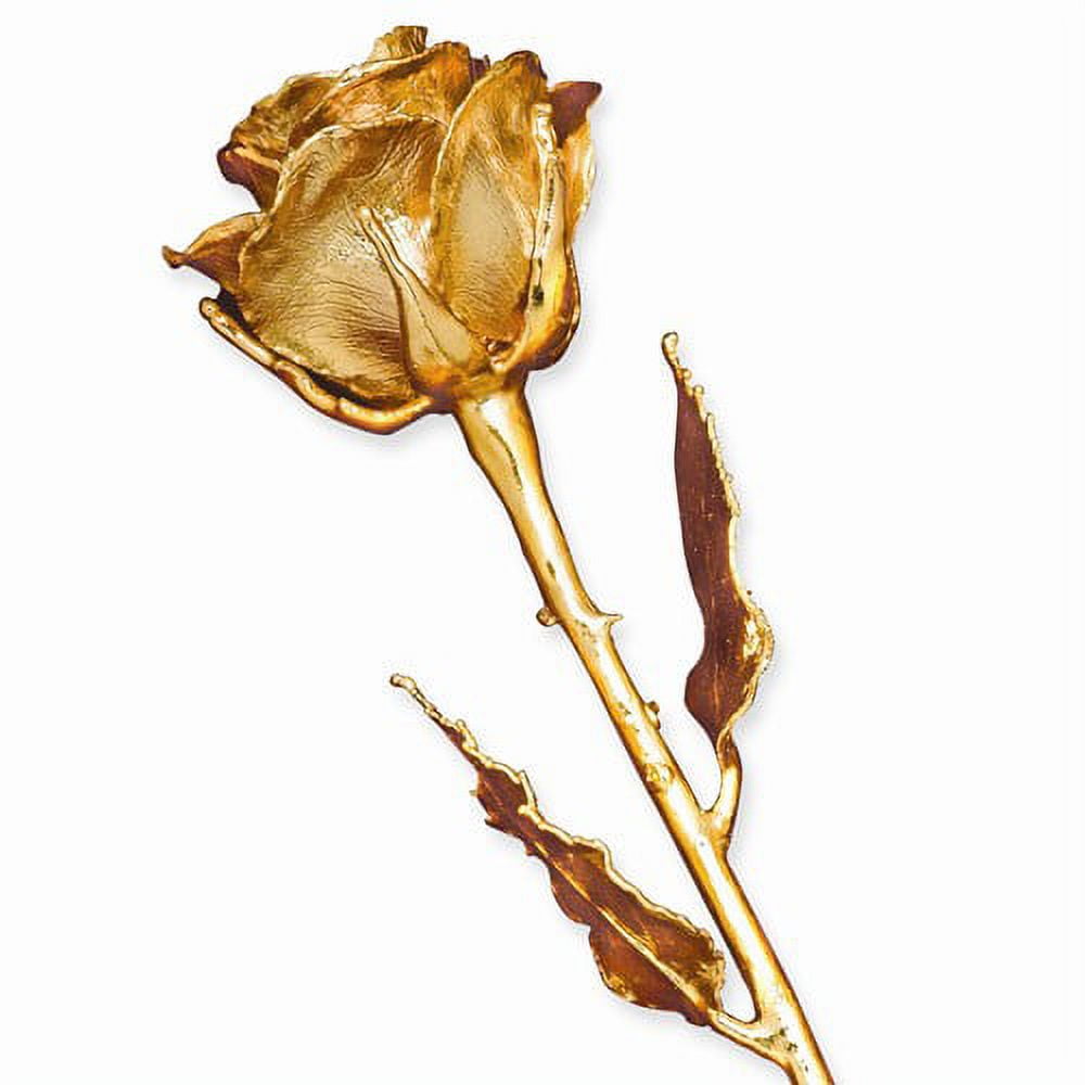 24k Gold Plated Trim Rose