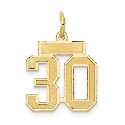 14k Small Satin Number 30 Charm