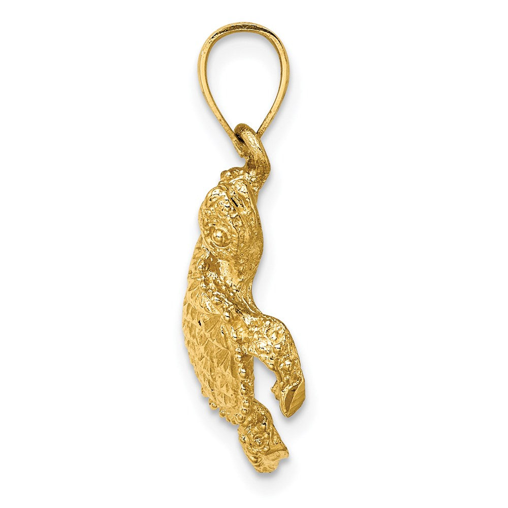 14K Sea Turtle with Tail Charm