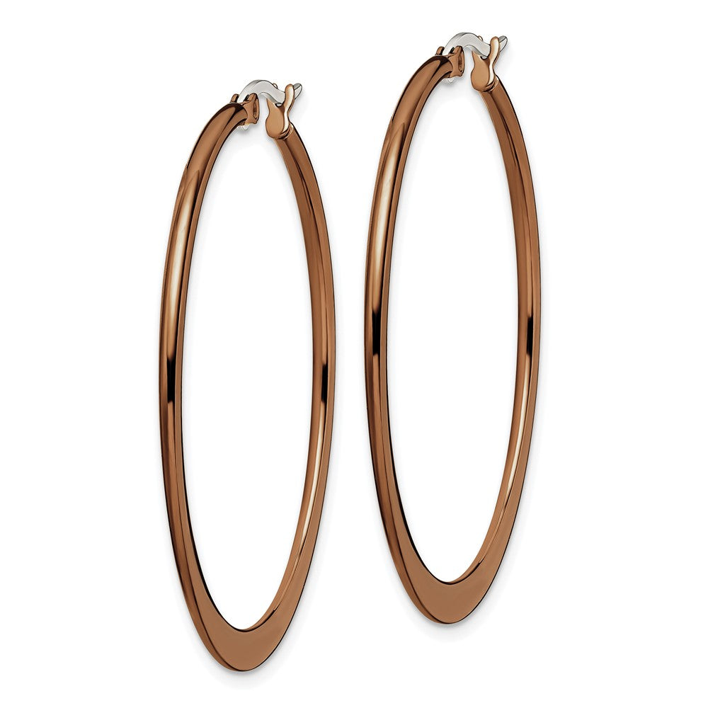 Stainless Steel Polished Brown IP-plated 43mm Diameter Hoop Earrings