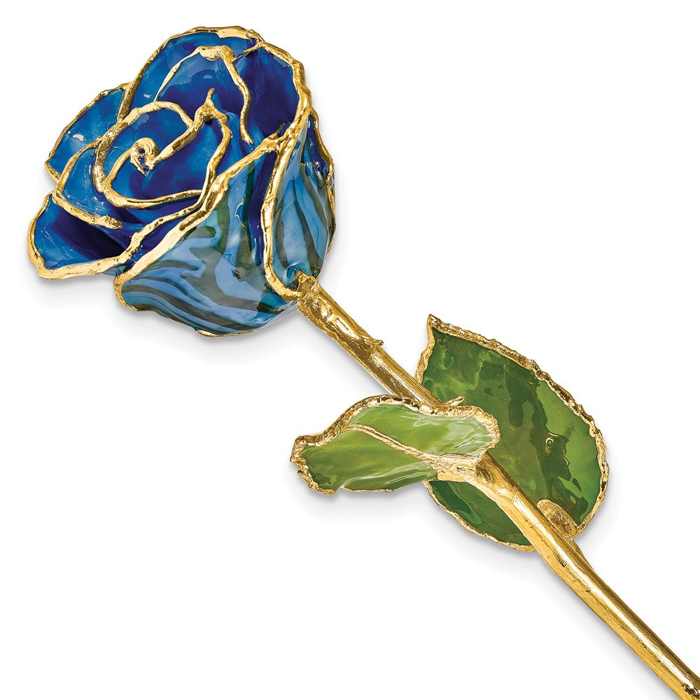Lacquer Dipped Gold Trimmed Black and Blue Zebra Real Rose