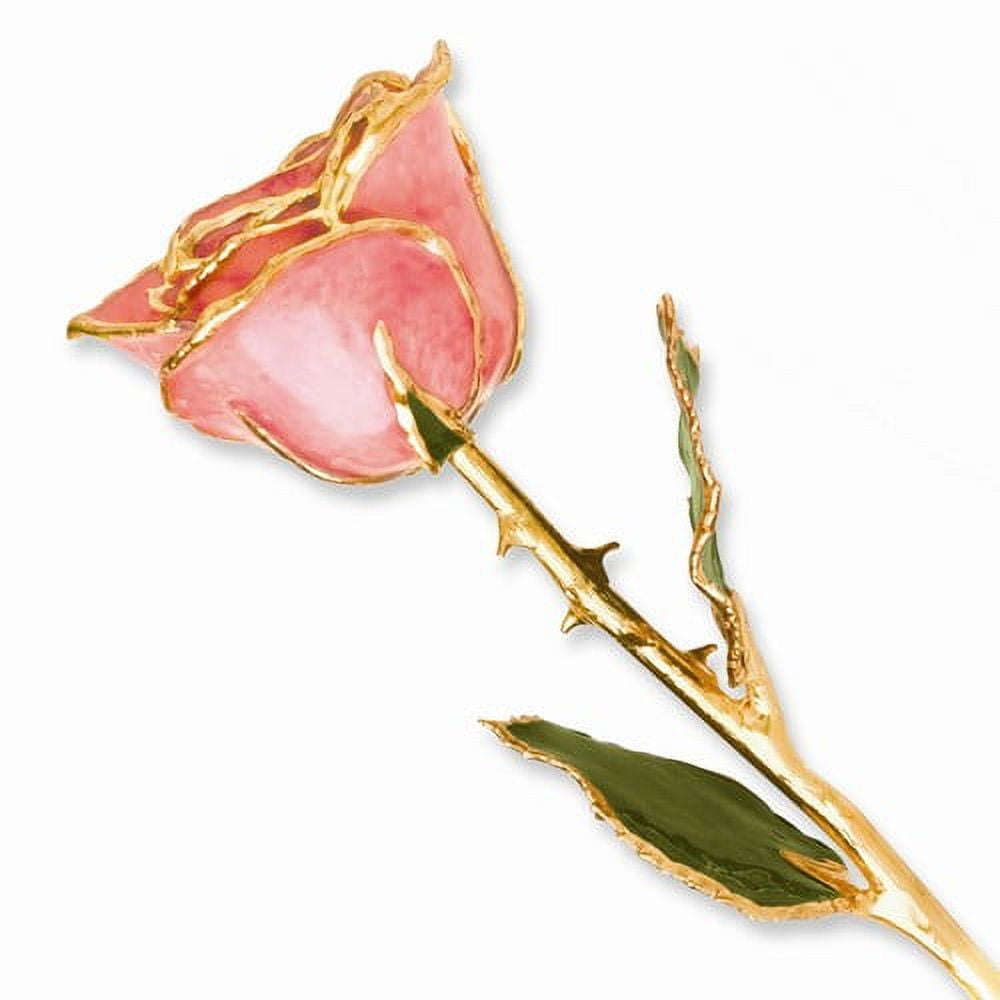 24k Gold Plated Trim Pink Rose
