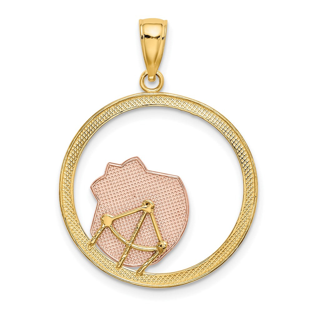 14K Two-tone w/White Rhodium Scallop Shell In Circle Charm