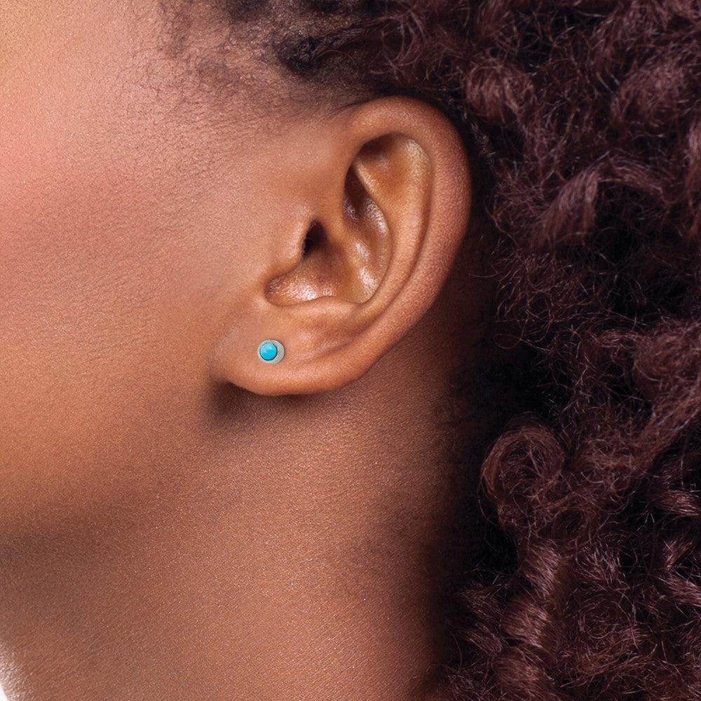 Titanium Brushed Turquoise 4mm Stud Earrings