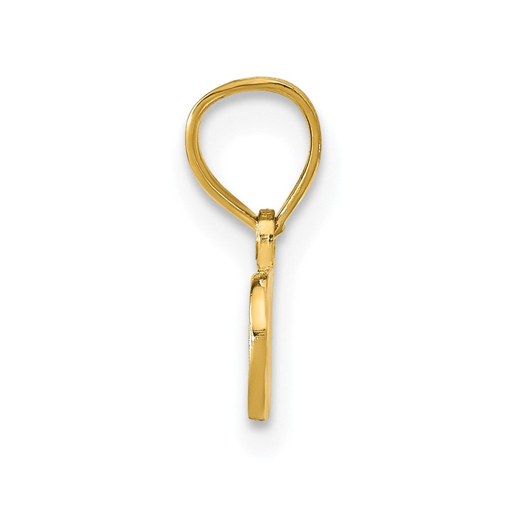 14K SPOILED Pendant