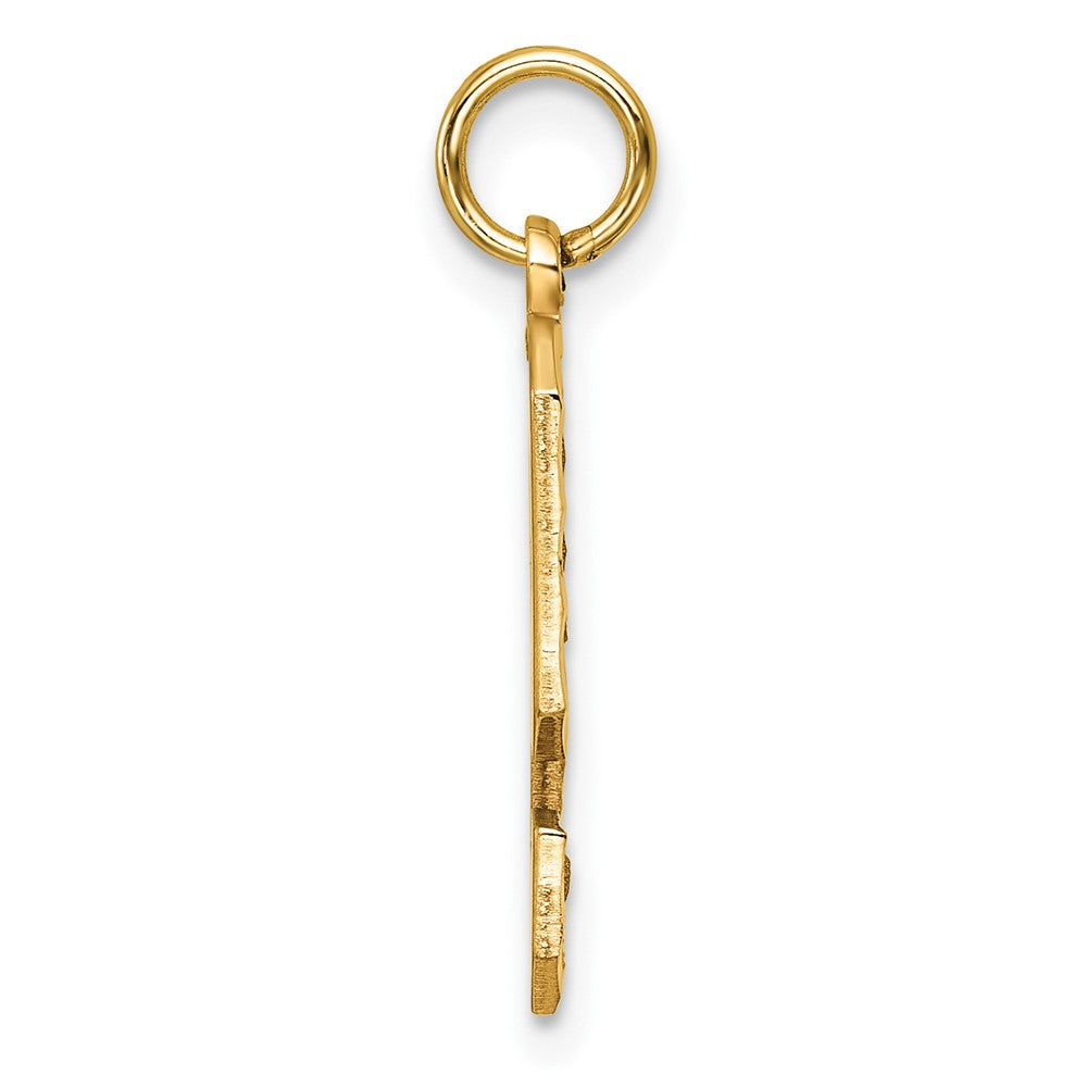 14k Large Brushed Diamond-cut  Number 9 Charm