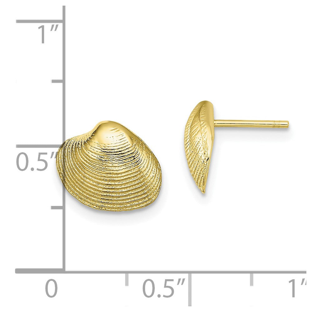 10K Clam Shell Post Earrings