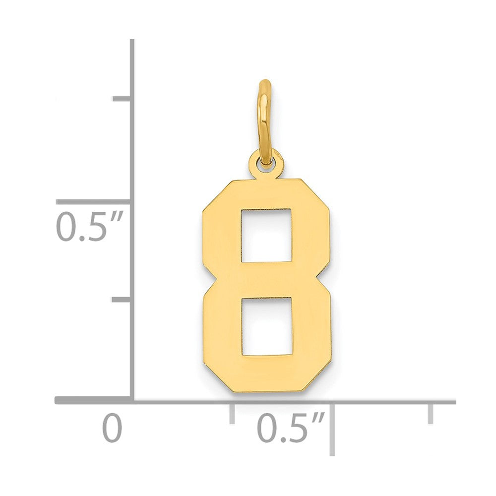 14k Medium Polished Number 8 Charm