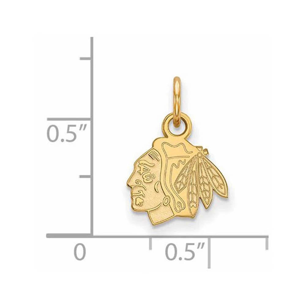 LogoArt 10K Yellow Gold NHL LogoArt Chicago Blackhawks Extra Small Pendant