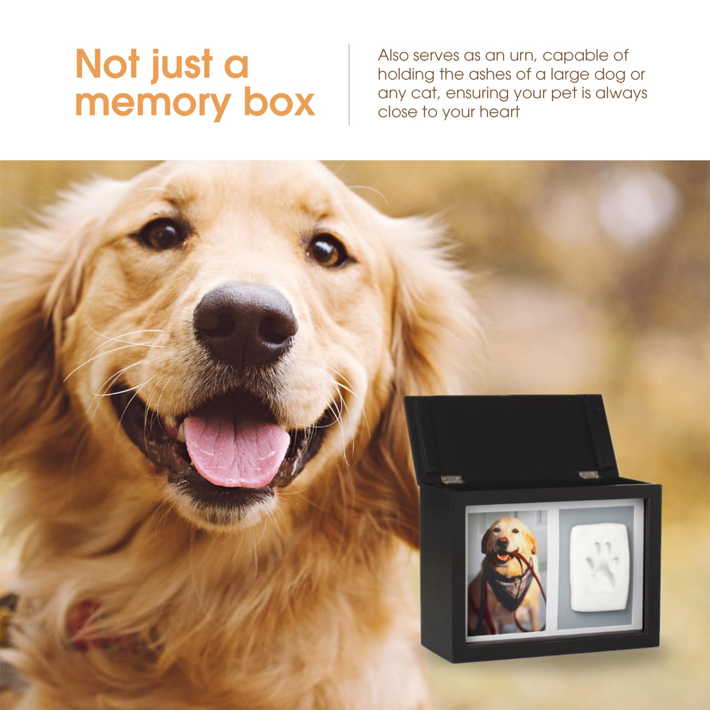 Pearhead Pet Photo Memory Box and Impression Kit for Dog or Cat Paw Print, Black