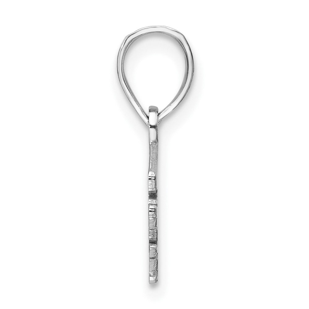 Sterling Silver/Rhodium-plated North Carolina State Pendant