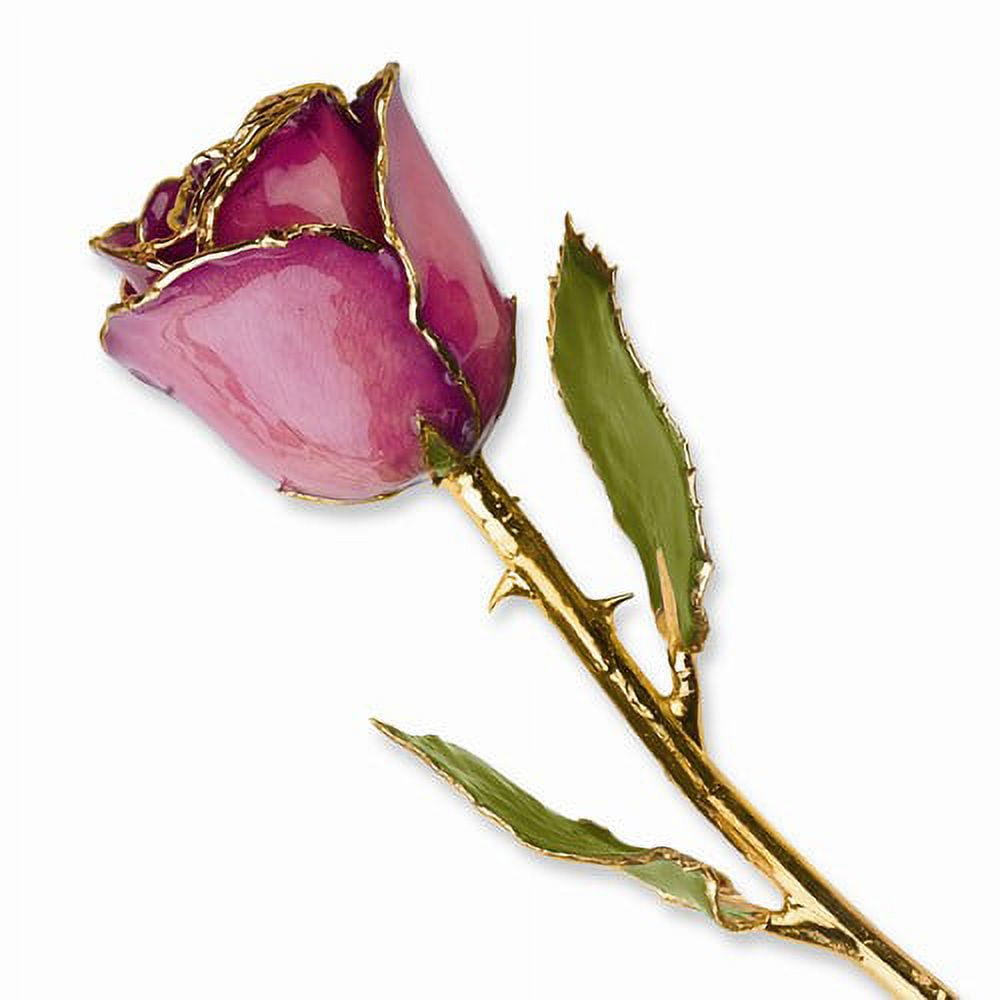 24k Gold Plated Trim Fuchsia Rose