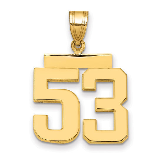 14k Medium Polished Number 53 Charm