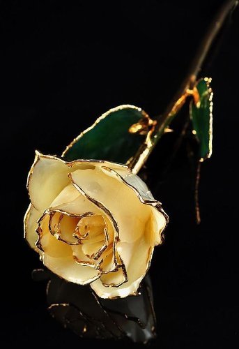 Lacquered Dipped 24K Yellow Gold-Plated Trimmed Green Leaf with White Rose