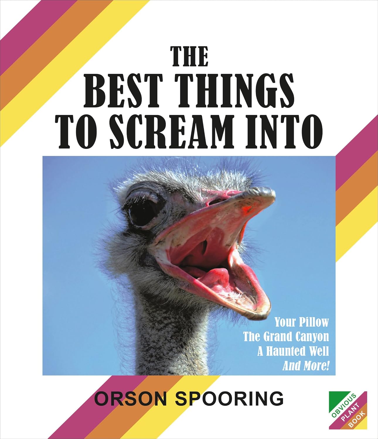 The Best Things to Scream Into [Hardcover] Spooring, Orson